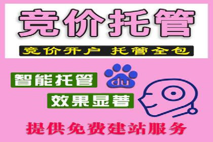 SEM专员案例：跨平台广告投放策略